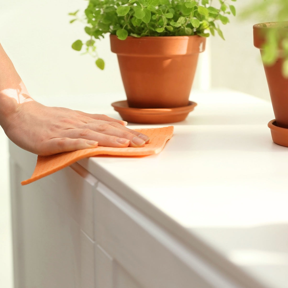 Link Between Personality and a Clean Home