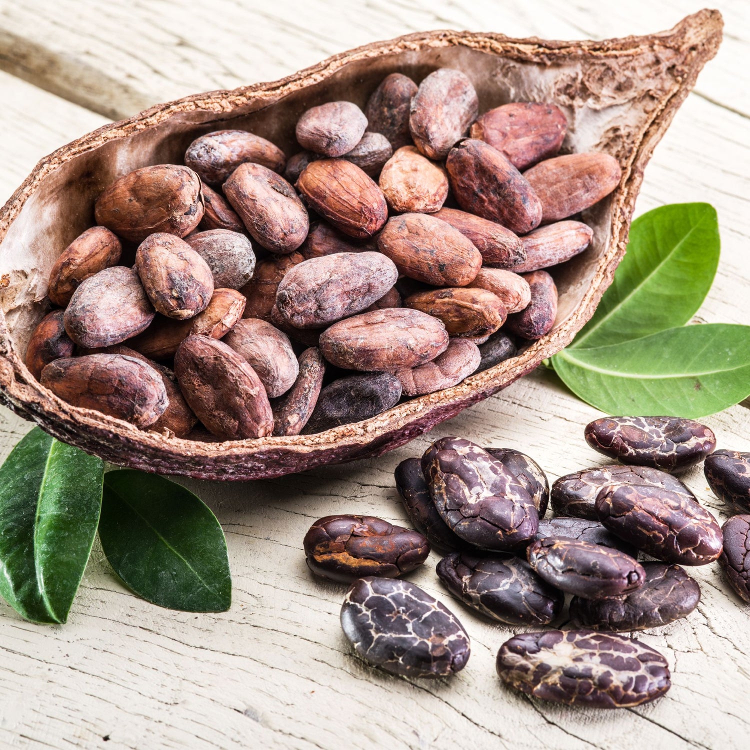 cocoa beans, giddy yo, rallis olive oil