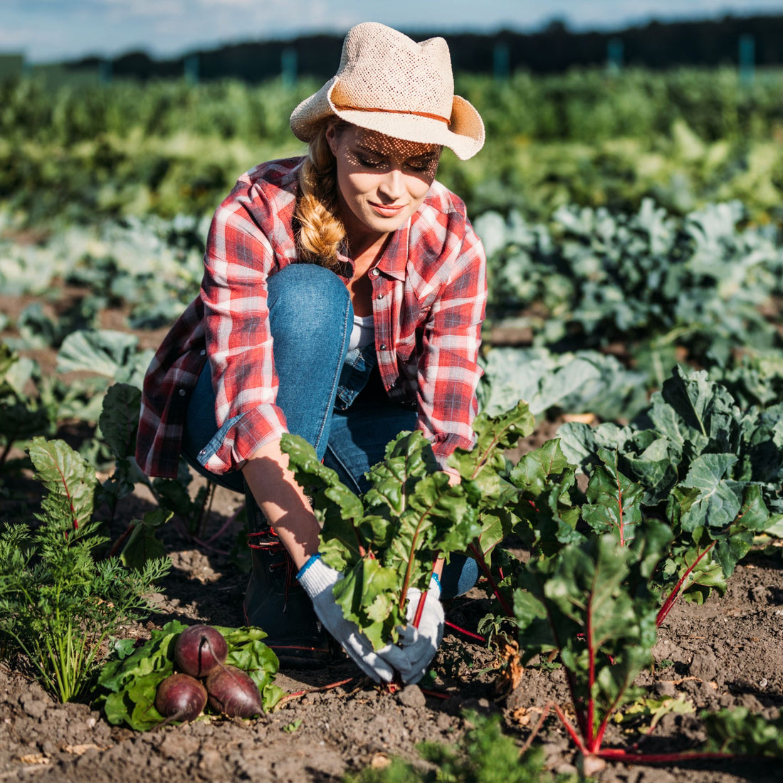 Sustainable Farmer, Rallis Clean Living Blog