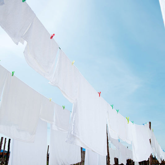The Benefits of Using a Clothesline