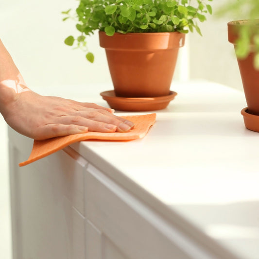 Link Between Personality and a Clean Home