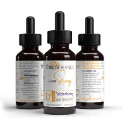 Theo's Blends VITAMIN D3  Liposomal with Elderberry Liquid Supplement