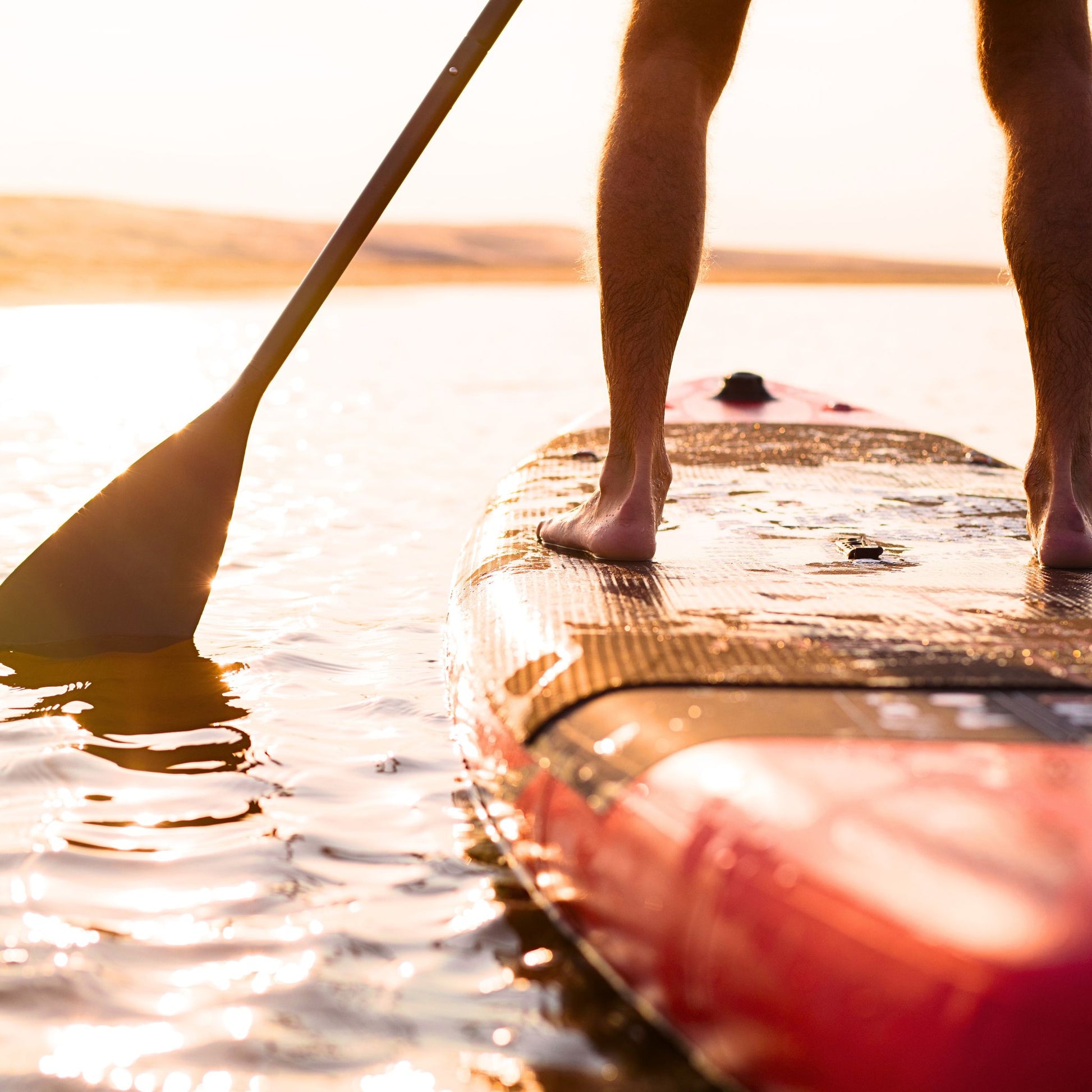 Campers Cologne - Paddle Boarding